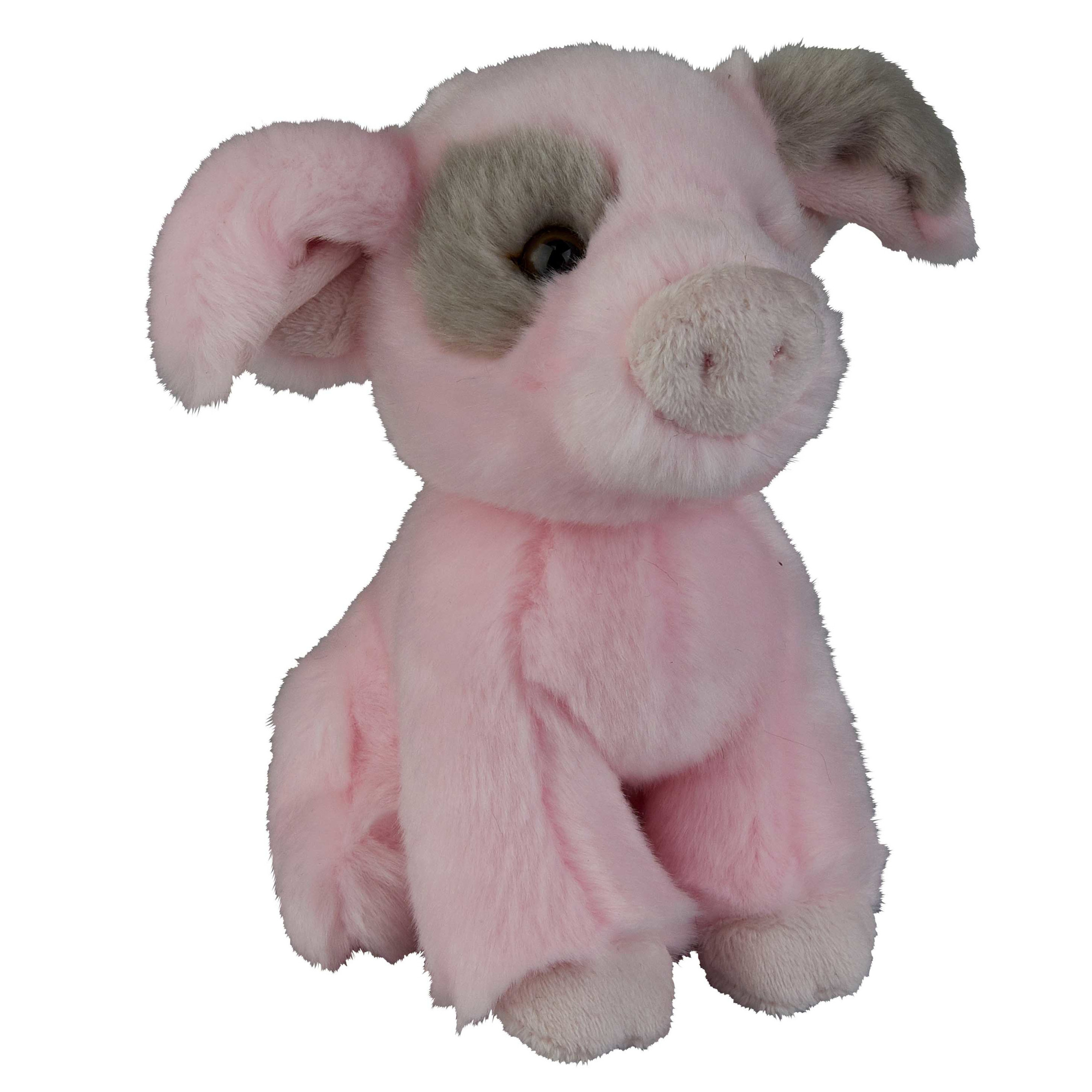 Pluche knuffel dieren Varken van 18 cm -