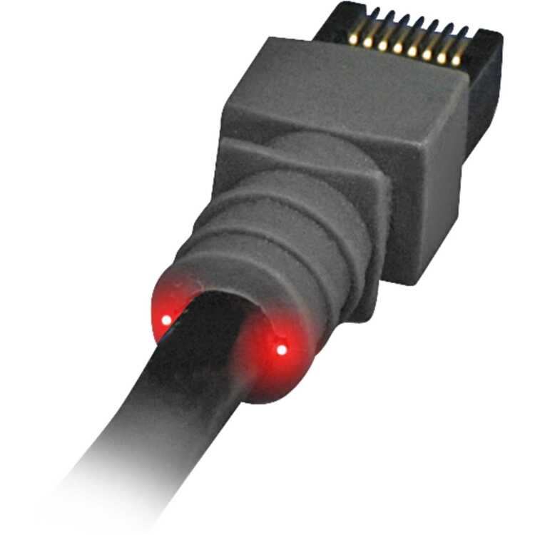 Patchsee Patchkabel UTP, RJ-45 met Cat.6 kabel 12,2 meter