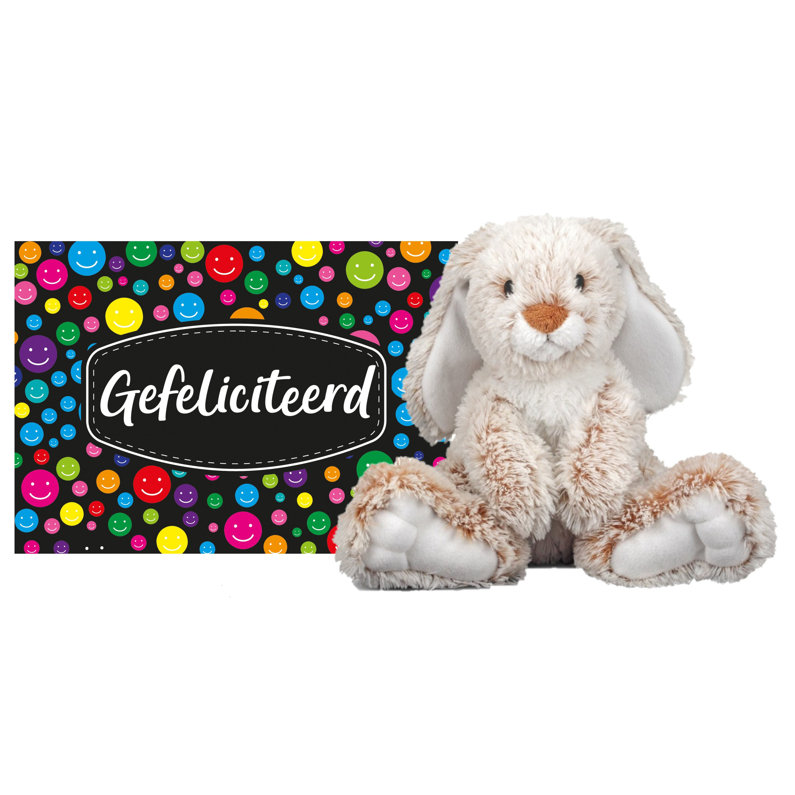 Pluche knuffel cadeau Konijn 25 cm met A5-size Gefeliciteerd wenskaart -