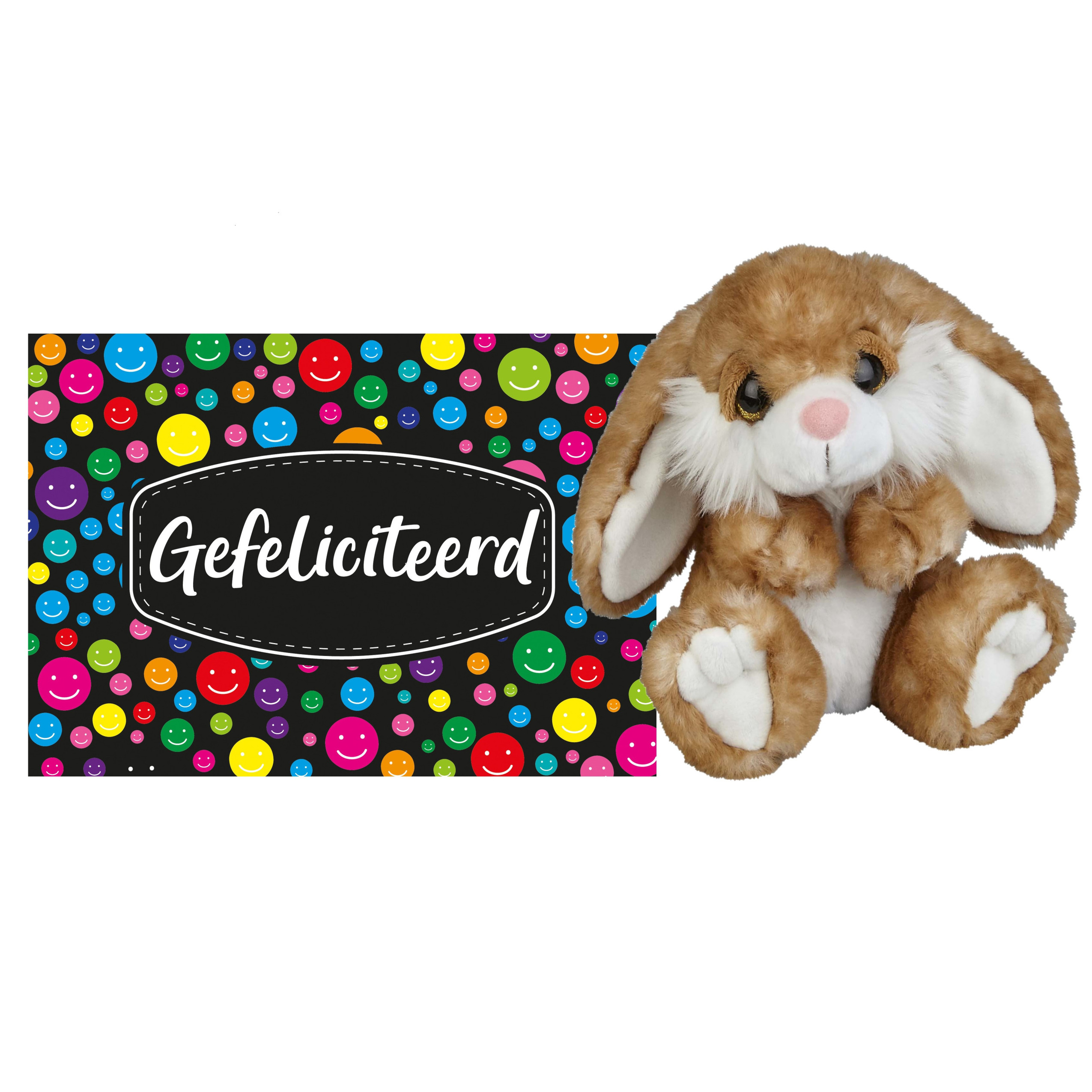 Pluche knuffel cadeau Konijn 18 cm met A5-size Gefeliciteerd wenskaart -