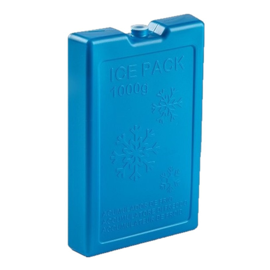 Plasticforte 1000 grams koelelementen - 22 x 14 x 3 cm - blauw - kunststof -
