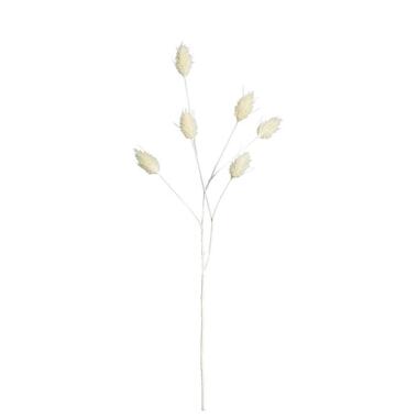Kunsttak Lagurus - creme - 70 cm - Leen Bakker