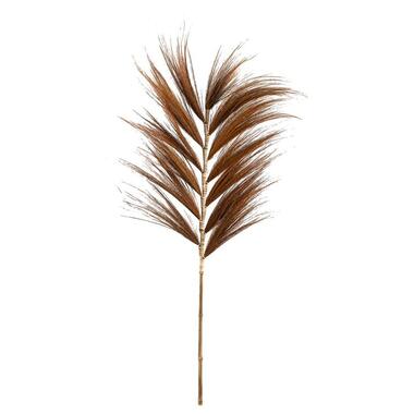 Droogbloemen Grass plume - bruin - 118 cm - Leen Bakker