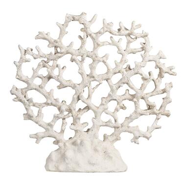Decoratie Koraalblad - wit - polyresin - 26x26x6,5 cm - Leen Bakker