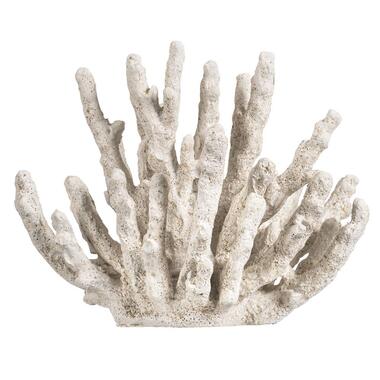 Decoratie Koraal - wit - polyresin - 14x18x11 cm - Leen Bakker