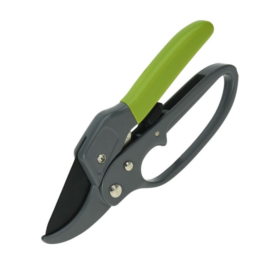 Pro Garden Snoeischaar/takken/rozen knipschaar - groen - 20 cm -