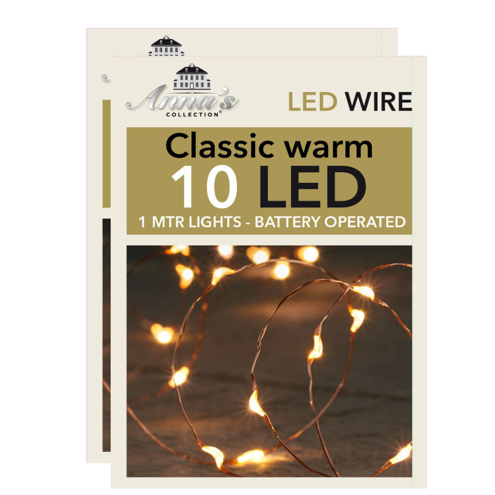 Draadverlichting lichtsnoeren - 2x st - koper- 10 leds - warm wit - 100 cm -