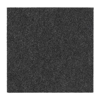 Tegel Andes - antraciet - 50x50 cm - Leen Bakker