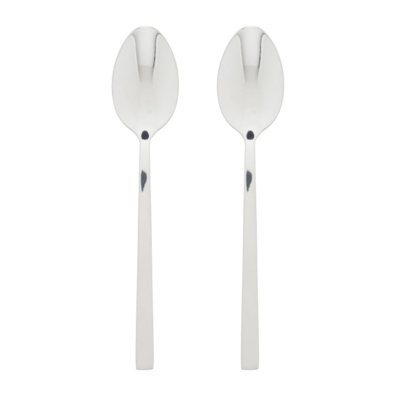 Tafellepels - zilverkleurig - set van 2