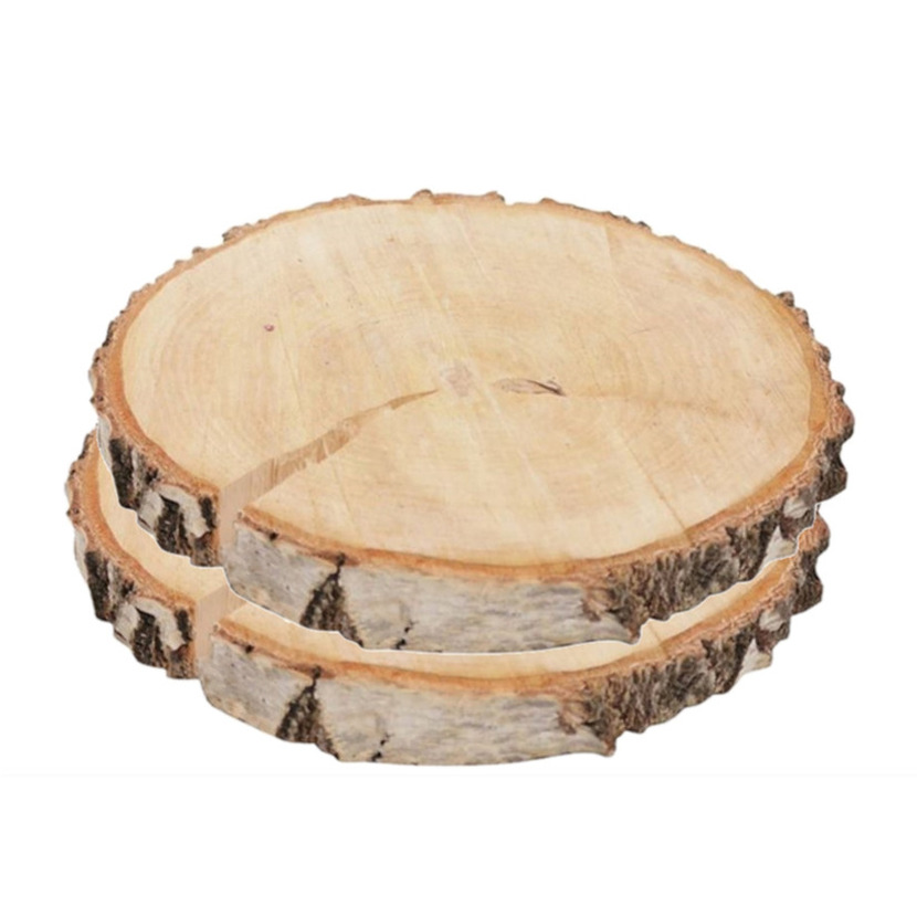 Decoratie boomschijven met schors - 2x - hout - D24,5 cm - rond - hobby boomschors schijf -