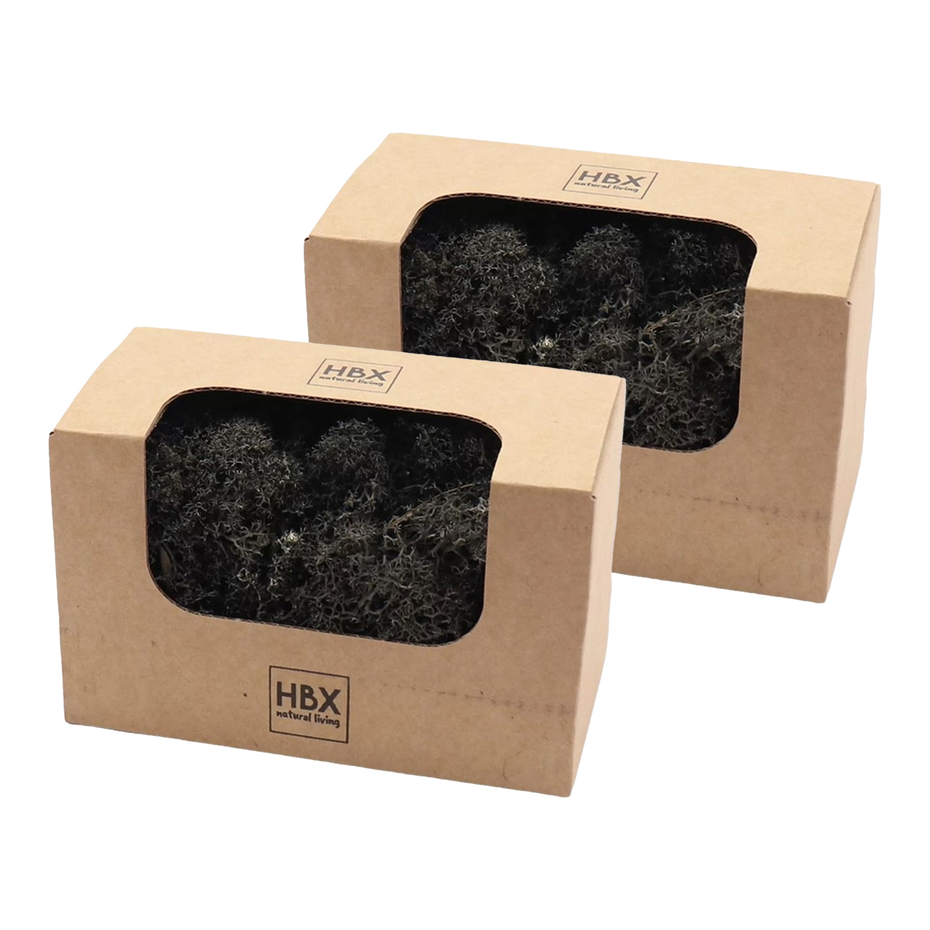 HBX Natural Living Decoratie mos - zwart - 100 gram - rendiermos - hobby -