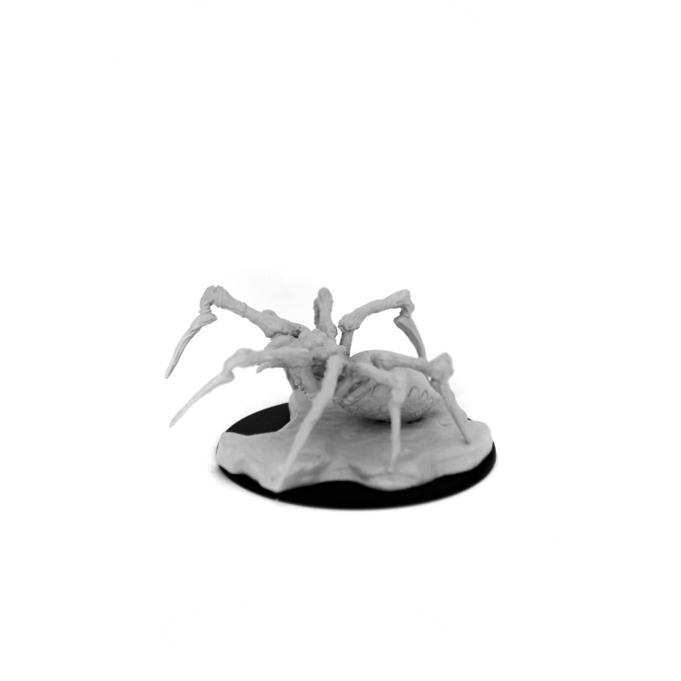 Diverse Dungeons and Dragons: Nolzur's Marvelous Miniatures - Phase Spider tabletop spel 1 stuks
