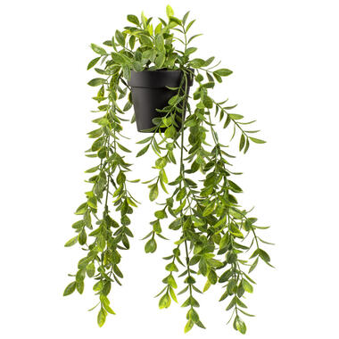 Kunst hangplant Ficus Pumila - groen - 30 cm - Leen Bakker