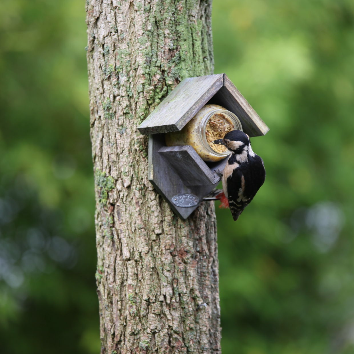Esschert houten pindakaashuisje - grijs - Old Look - vogelvoederhuisje -