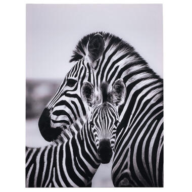 Schilderij Zebra - canvas - 60x45 cm - Leen Bakker