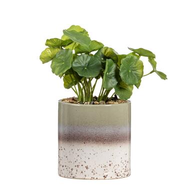 Kunstplant Hydrocotyle in pot - groen - 30 cm - Leen Bakker