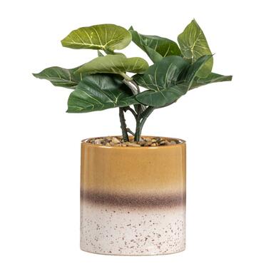 Kunstplant Alocasia in pot - groen/bruin - 30 cm - Leen Bakker