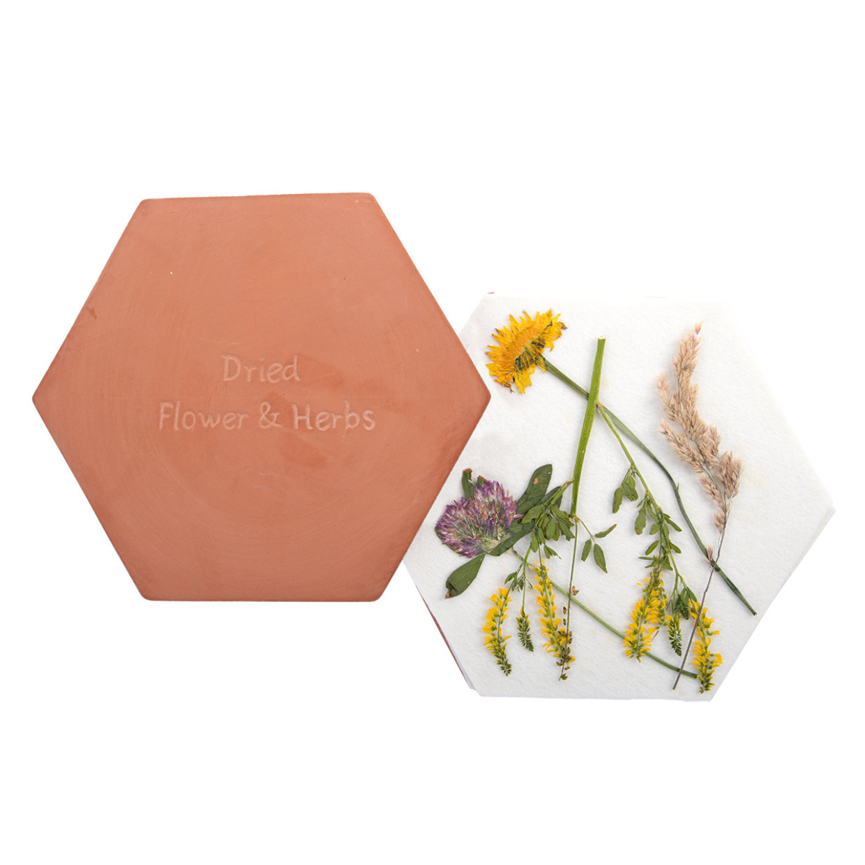 Esschert Design magnetron bloemen/bladeren/kruidenpers - terracotta - 19.5 x 17 x 3.5 cm -