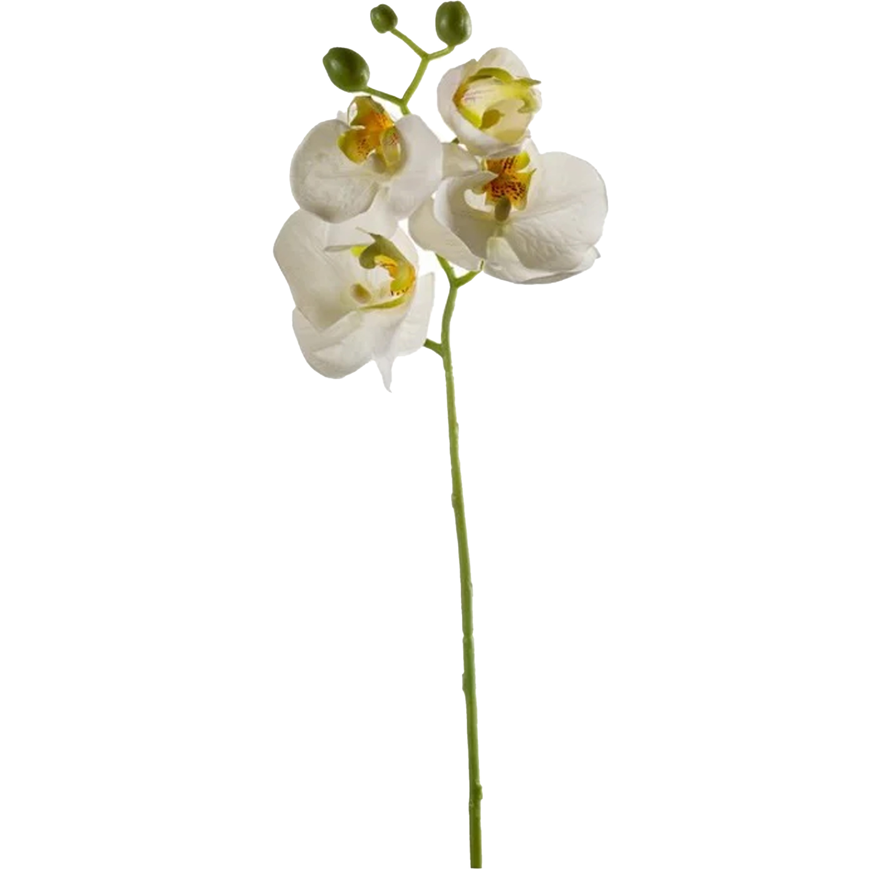Kunstbloem Orchidee - 56 cm - wit - losse tak - kunst zijdebloem - Phalaenopsis -