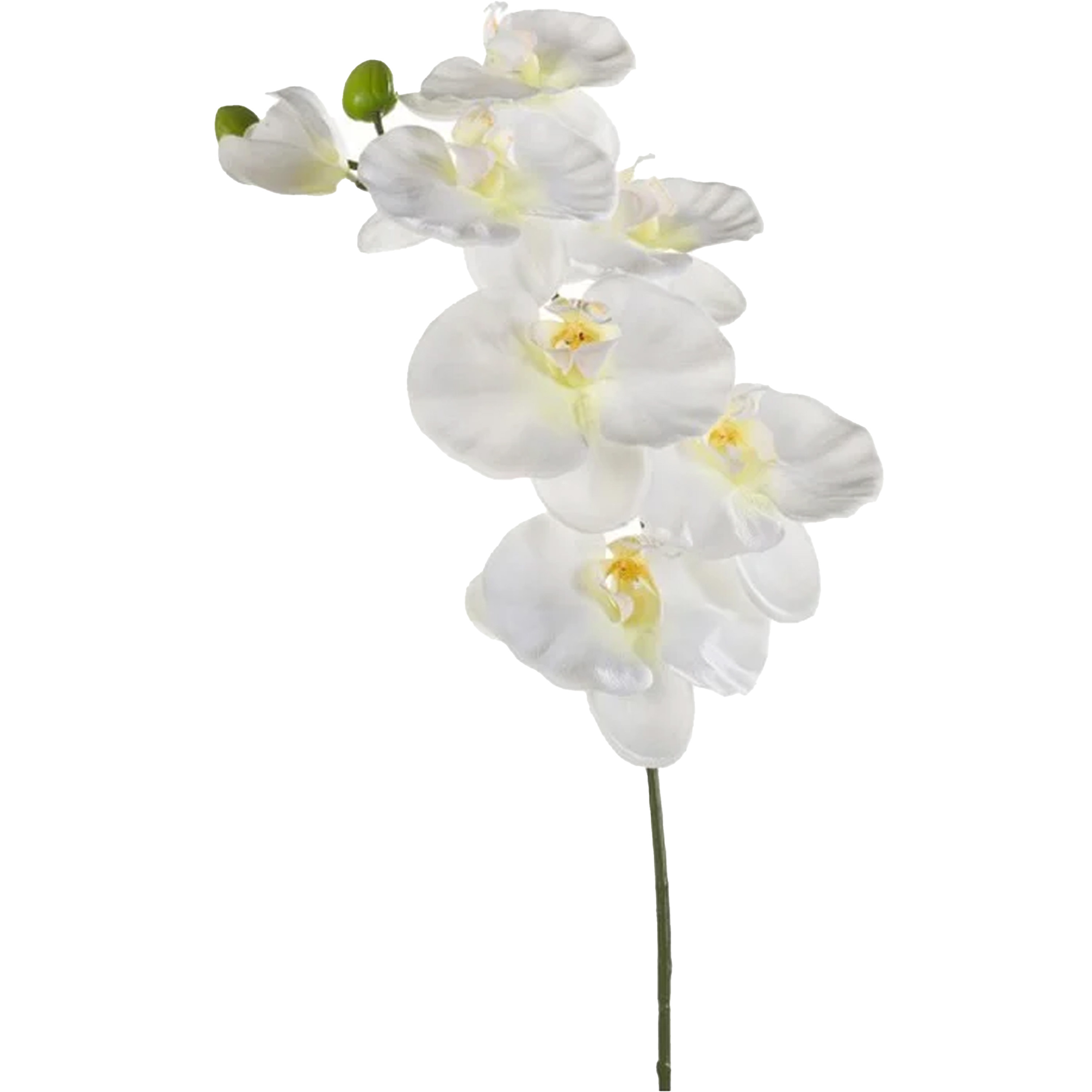 Kunstbloem Orchidee - 80 cm - wit - losse tak - kunst zijdebloem - Phalaenopsis -