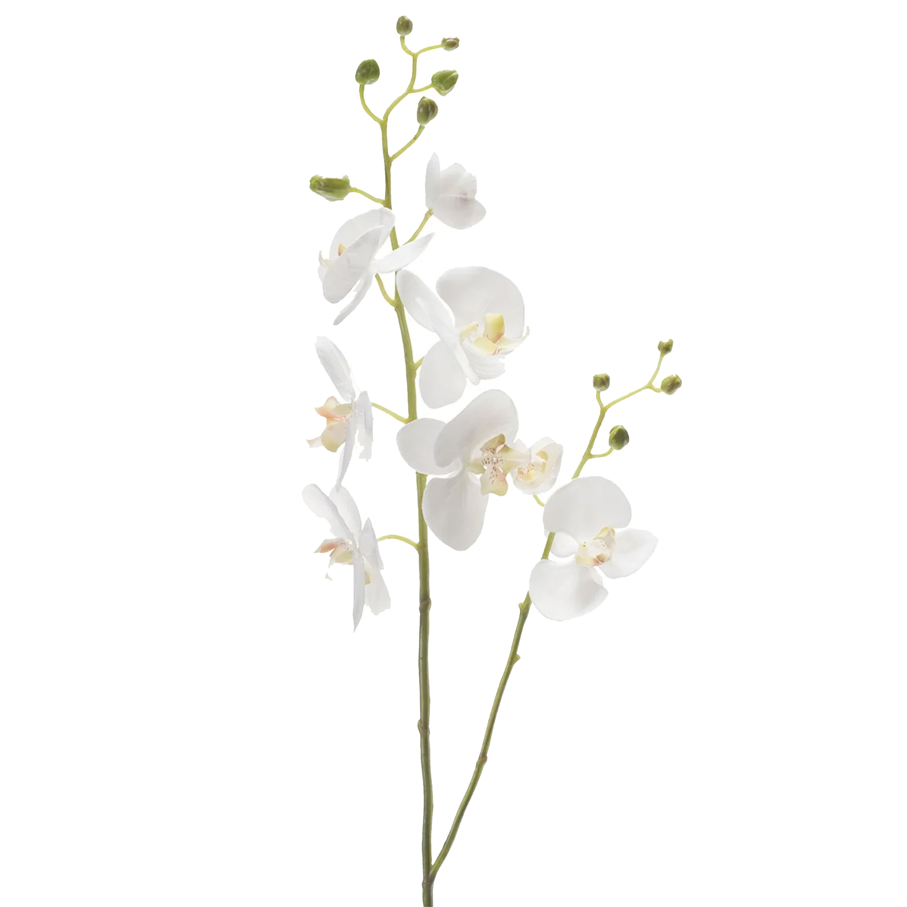 Emerald Kunstbloem Orchidee - 95 cm - wit - losse tak - kunst zijdebloem - Phalaenopsis -