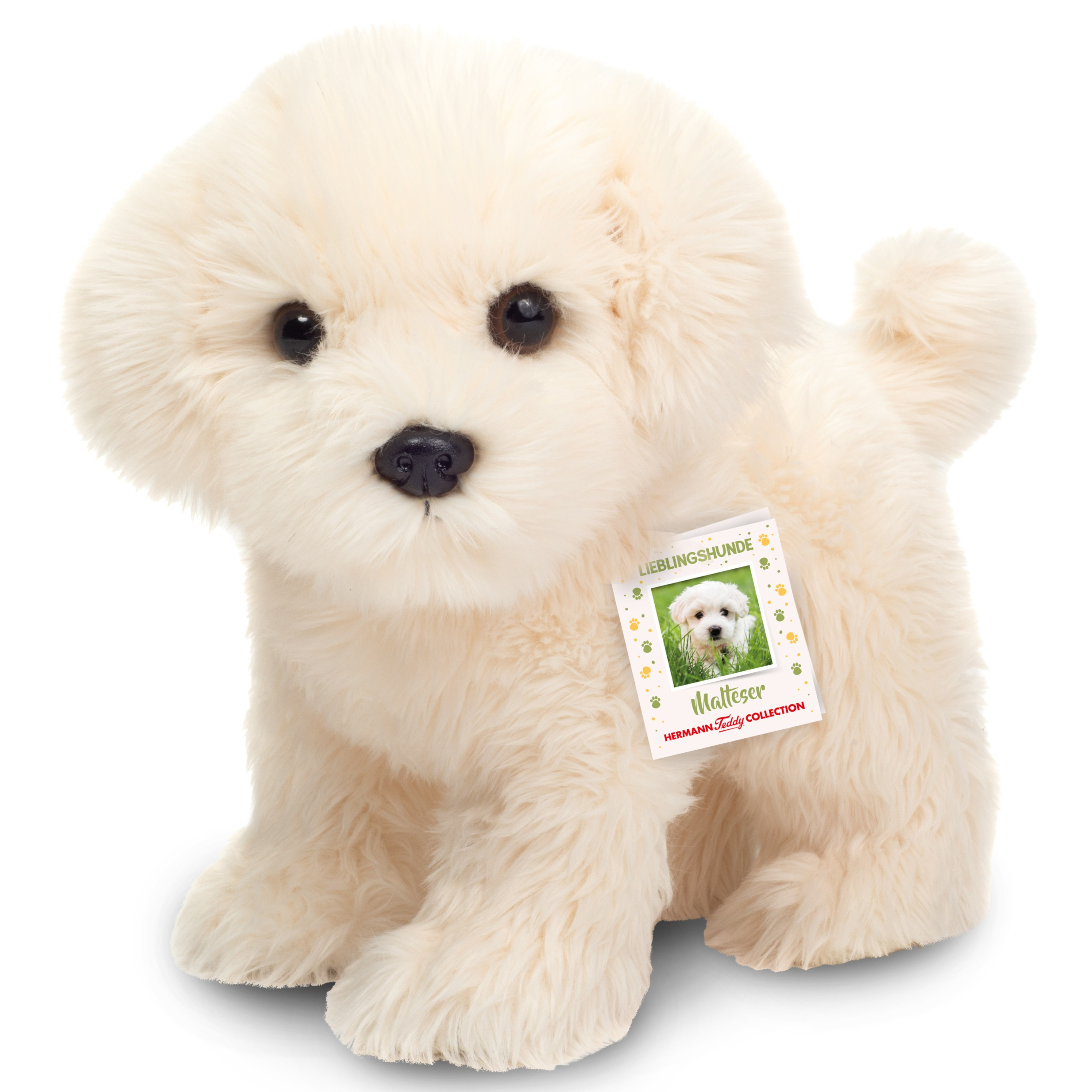 Knuffeldier hond Maltezer - pluche stof - premium kwaliteit knuffels - 23 cm - wit -