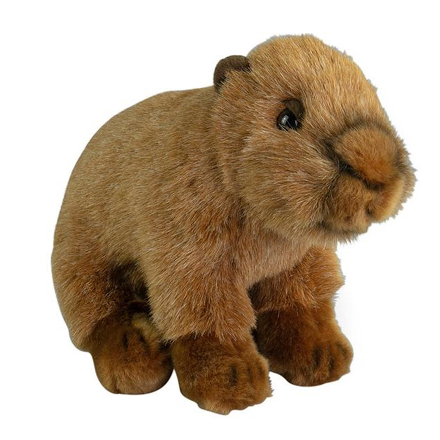 Nature Planet Knuffeldier Capybara - pluche knuffel - bruin - 20 cm - bosdier knuffel -