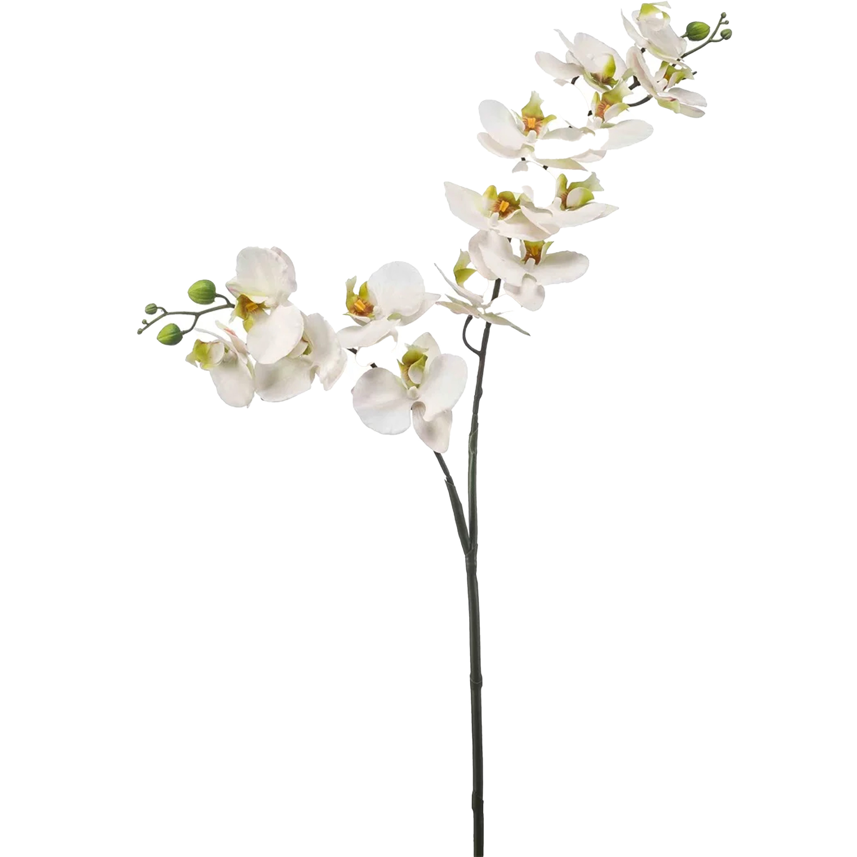 Kunstbloem Orchidee - 100 cm - wit/groen - losse tak - kunst zijdebloem - Phalaenopsis -