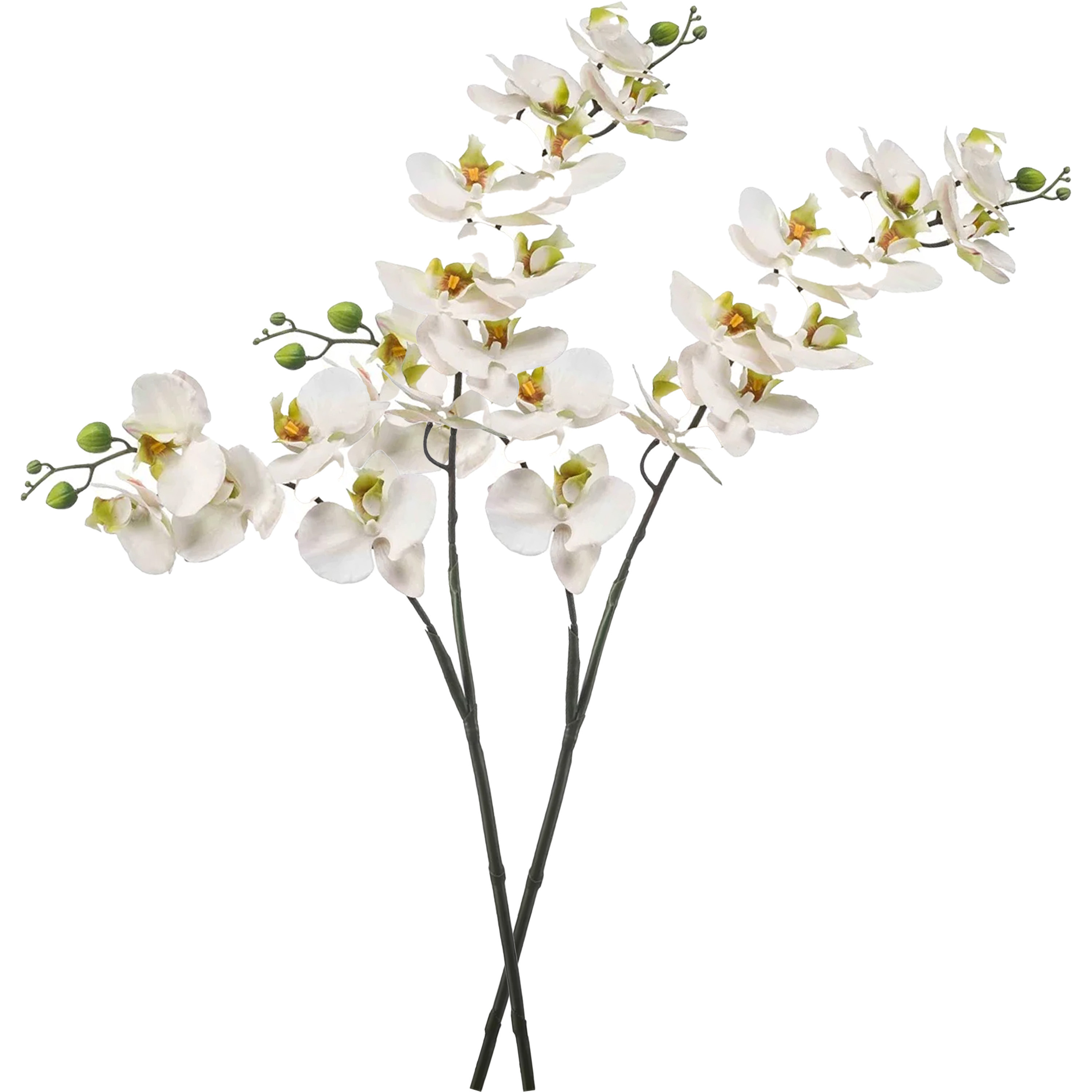 Kunstbloem Orchidee - 2x - 100 cm - wit/groen - losse tak - kunst zijdebloem - Phalaenopsis -