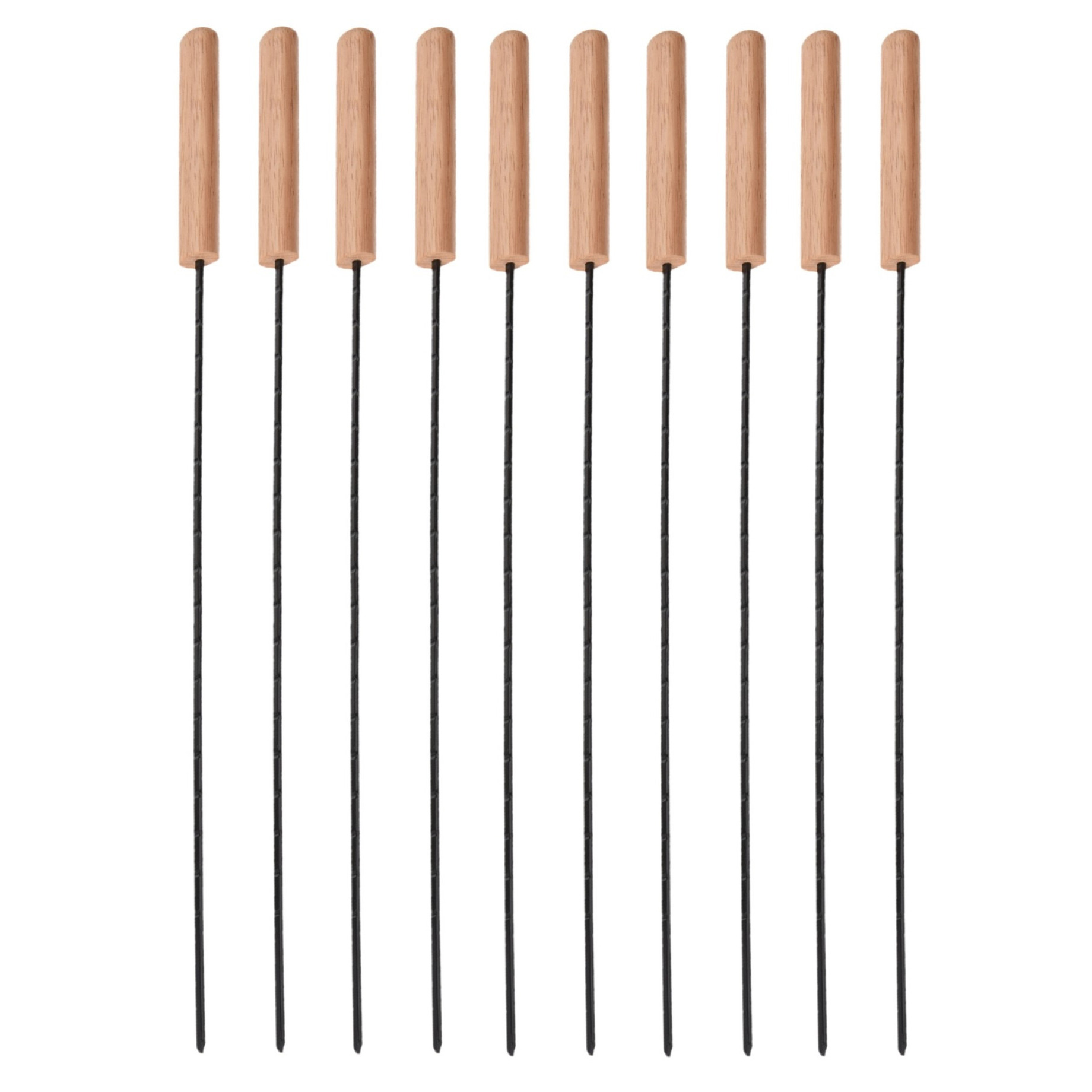 BBQ spiezen - 10x stuks - metaal - 48 cm - vleespennen voor vlees - barbecue accessoires -