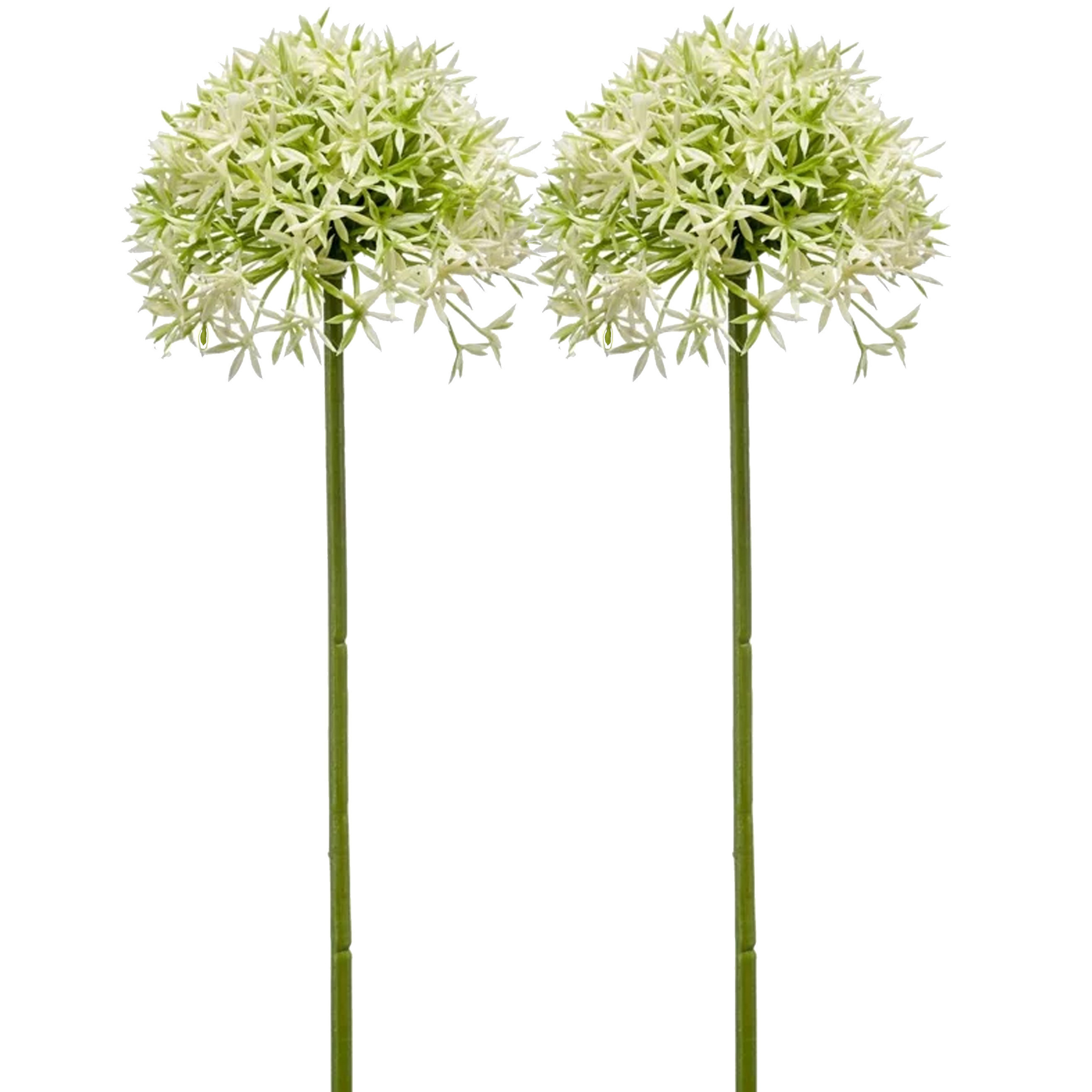Allium/Sierui kunstbloem - 2x - losse steel - creme/groen - 62 cm - Natuurlijke uitstraling -