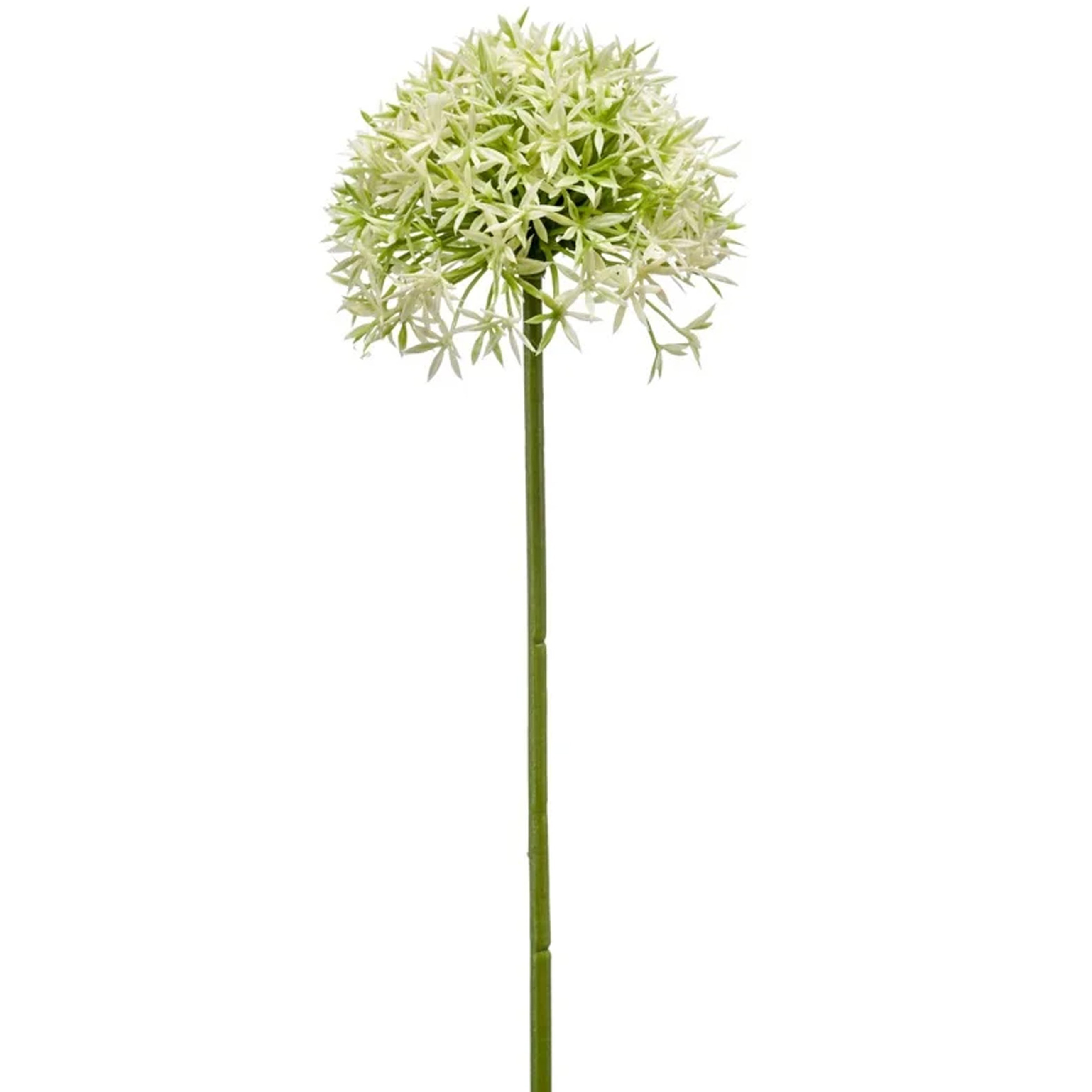Allium/Sierui kunstbloem - losse steel - creme/groen - 62 cm - Natuurlijke uitstraling -