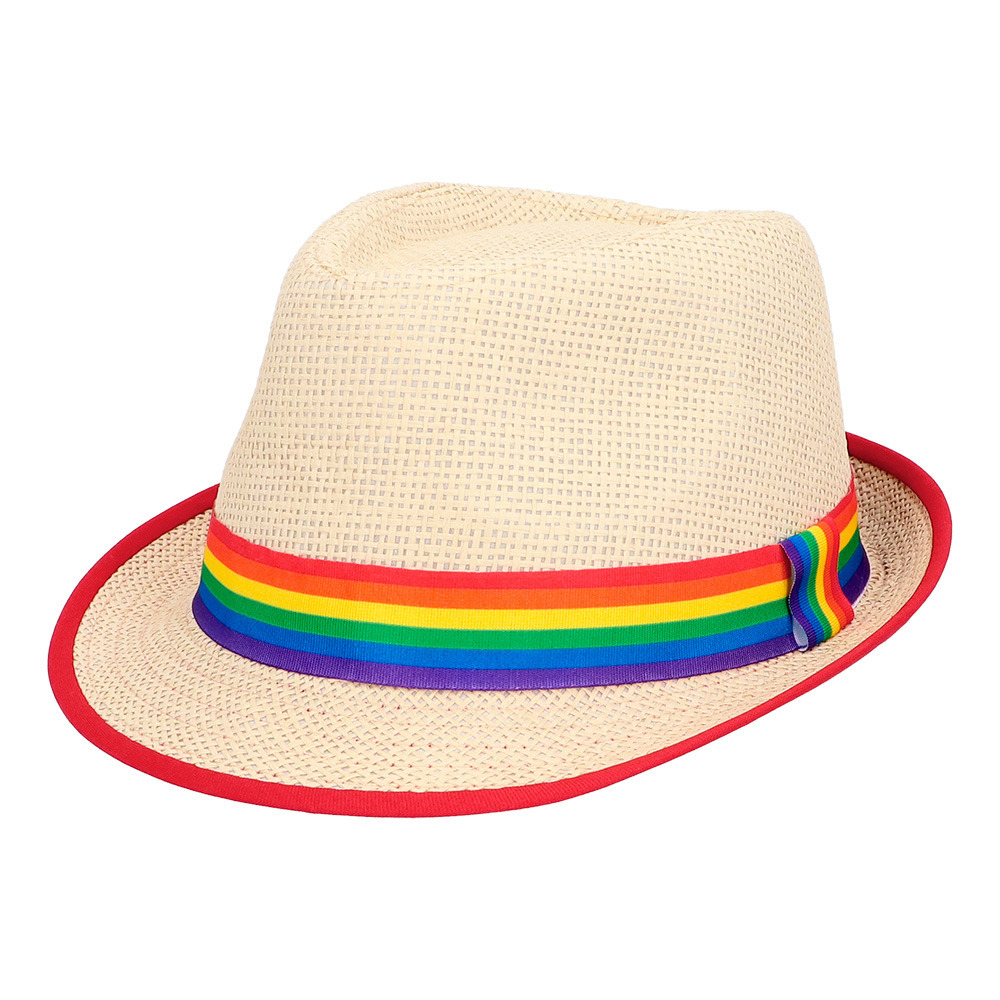 Pride/Carnaval verkleed strohoedje - volwassenen - Met regenboog kleuren band - zonnehoedje -