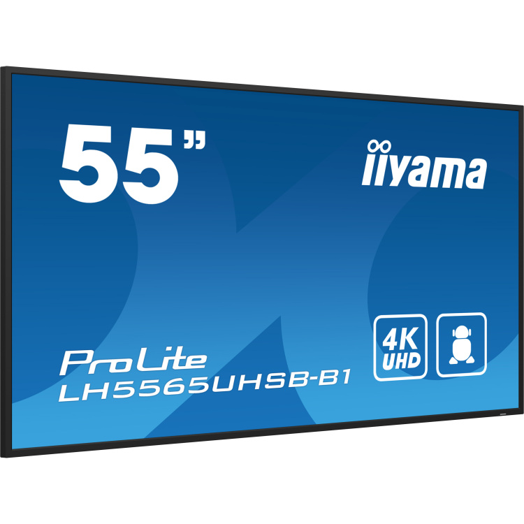 iiyama ProLite LH5565UHSB-B1 public display HDMI, DisplayPort, LAN, WiFi, Audio, USB, Android