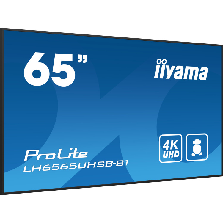 iiyama ProLite LH6565UHSB-B1 public display HDMI, DisplayPort, LAN, WiFi, Audio, USB, Android