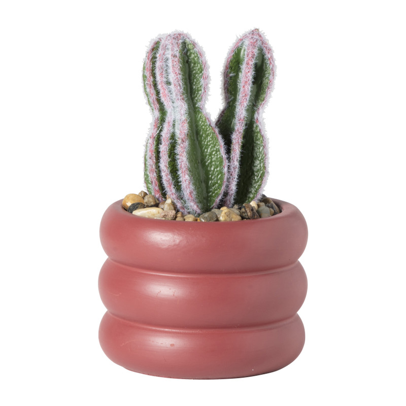 Cactus in pot laag - ø9x14.5 cm
