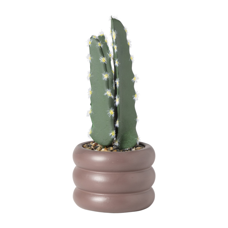 Cactus in pot hoog - ø9x20.9 cm