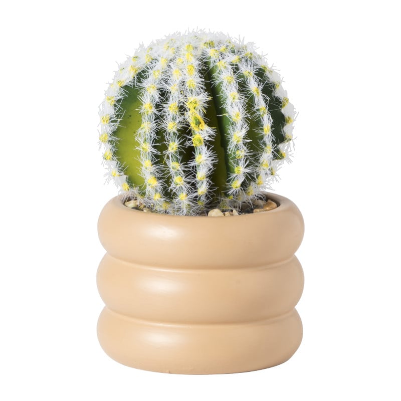 Cactus in pot bol - ø9x13.7 cm