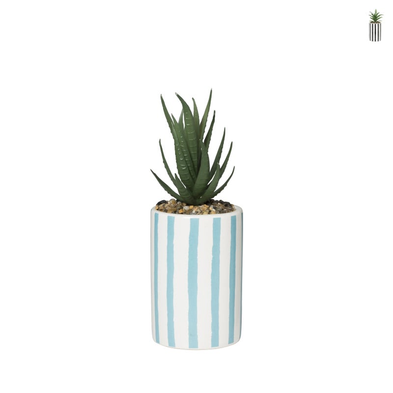 Plant in pot streep hoog - ø7.5x21 cm