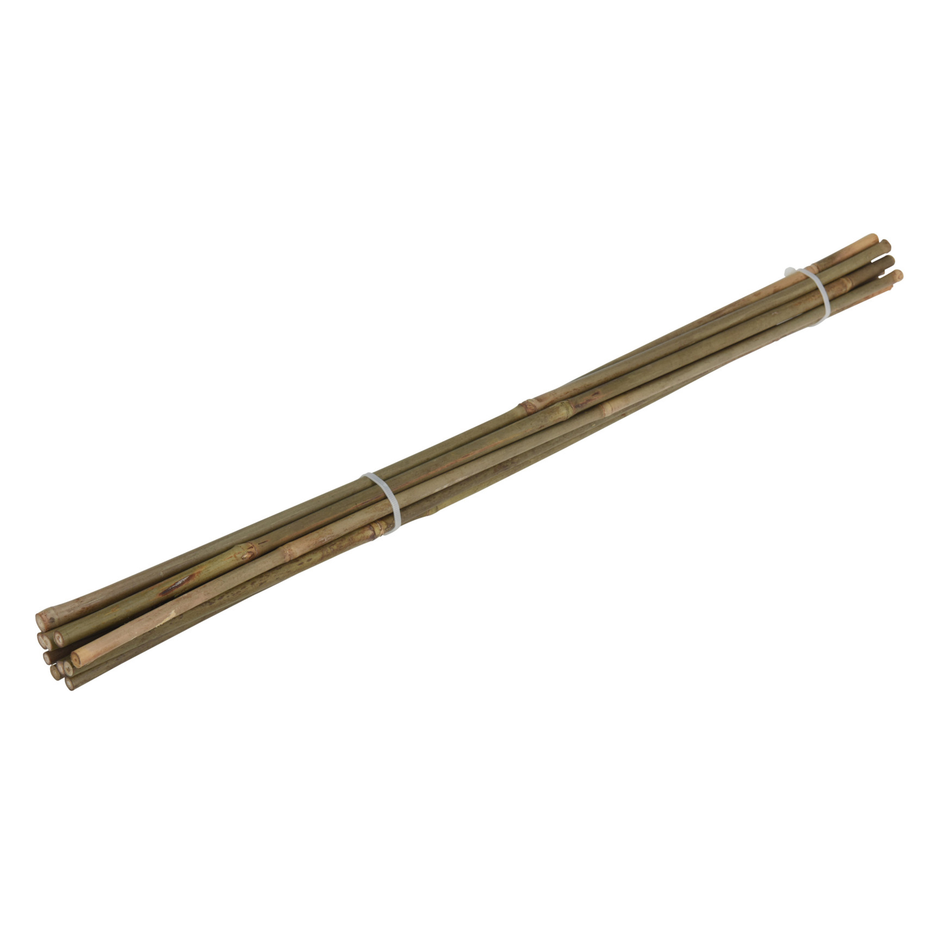 Planten stokken/bamboe stokken - 10x - plantensteun/tonkinstokken - 60 cm - 6 tot 9 mm breed -
