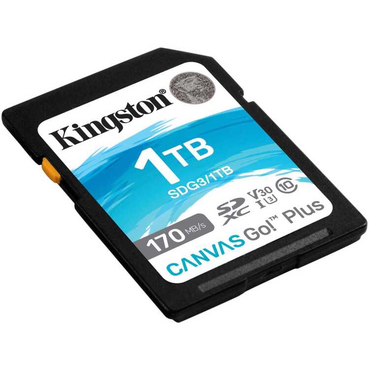Kingston Canvas Go! Plus SDXC 1 TB geheugenkaart UHS-I U3, Class 10