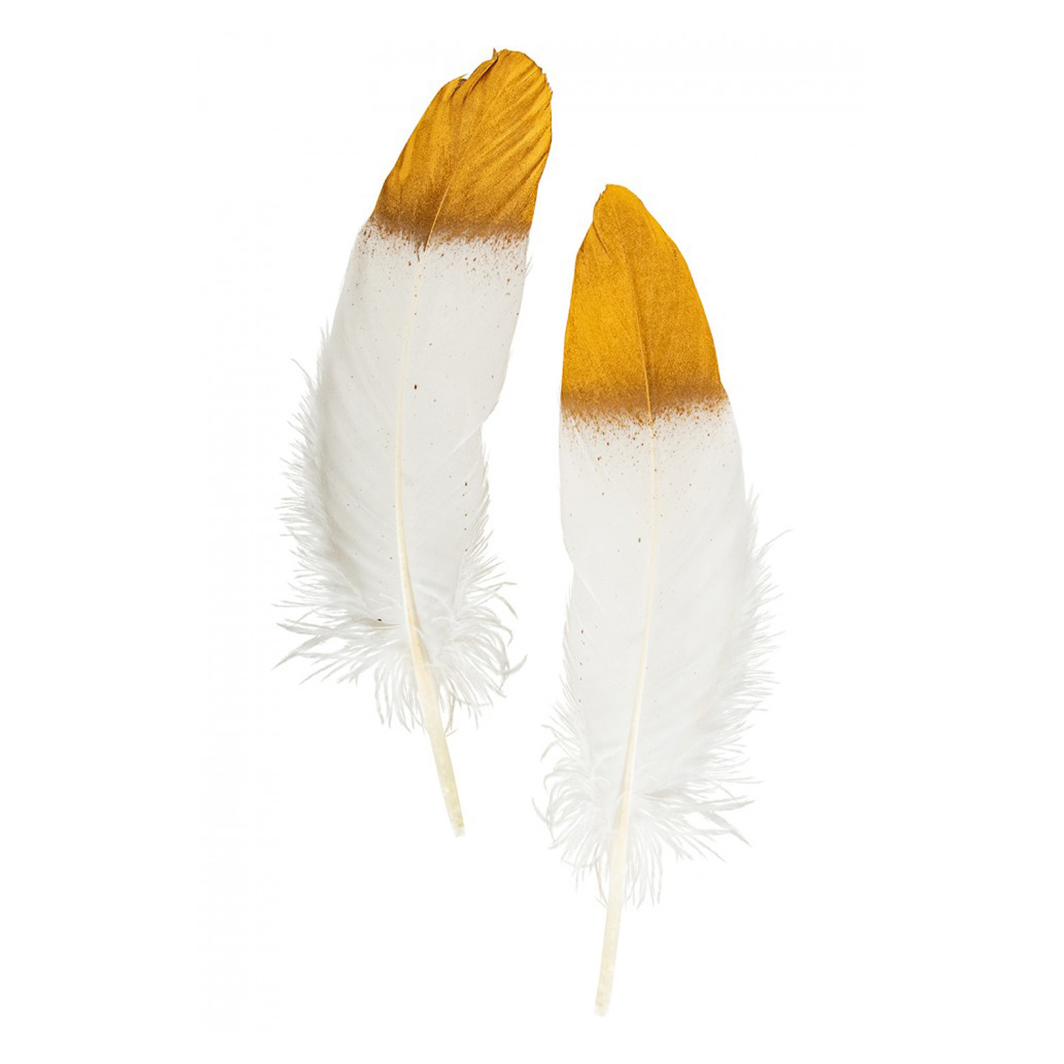 Ganzenveer/sierveer - 10x stuks - wit met goud - 18-22 cm - decoratie/hobbymateriaal -