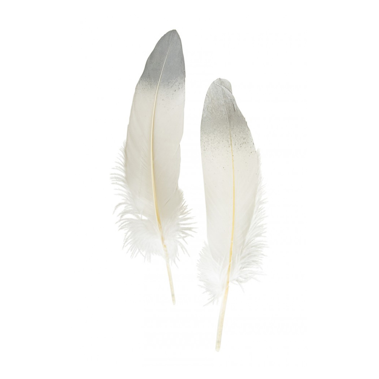 Ganzenveer/sierveer - 10x stuks - wit met zilver - 18-22 cm - decoratie/hobbymateriaal -