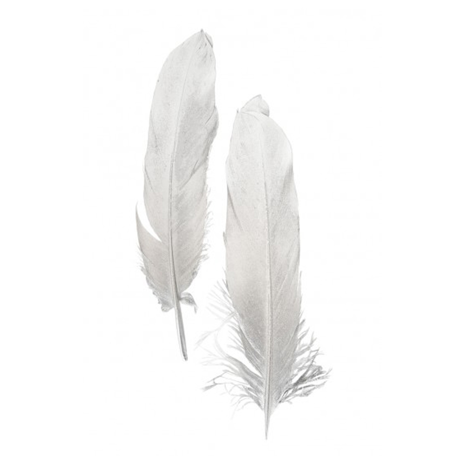 Ganzenveer/sierveer - 10x stuks - zilver - 18-22 cm - decoratie/hobbymateriaal -