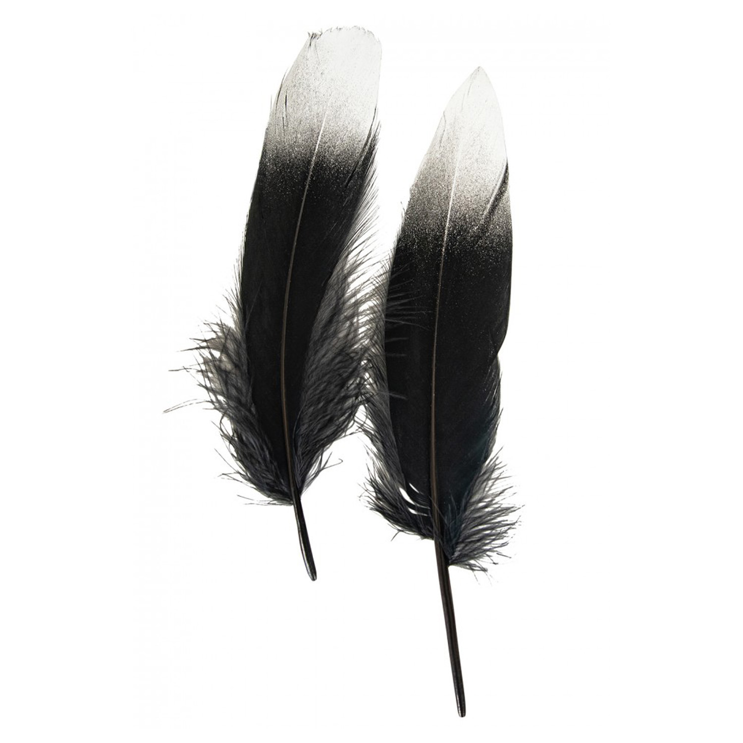 Ganzenveer/sierveer - 10x stuks - zwart met zilver - 18-22 cm - decoratie/hobbymateriaal -