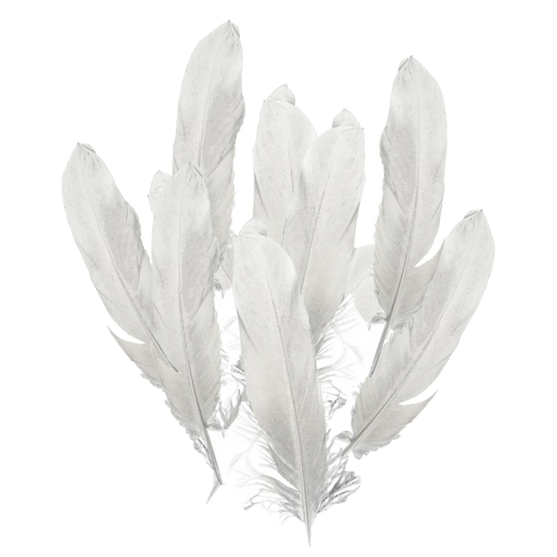 Ganzenveer/sierveer - 20x stuks - zilver - 18-22 cm - decoratie/hobbymateriaal -
