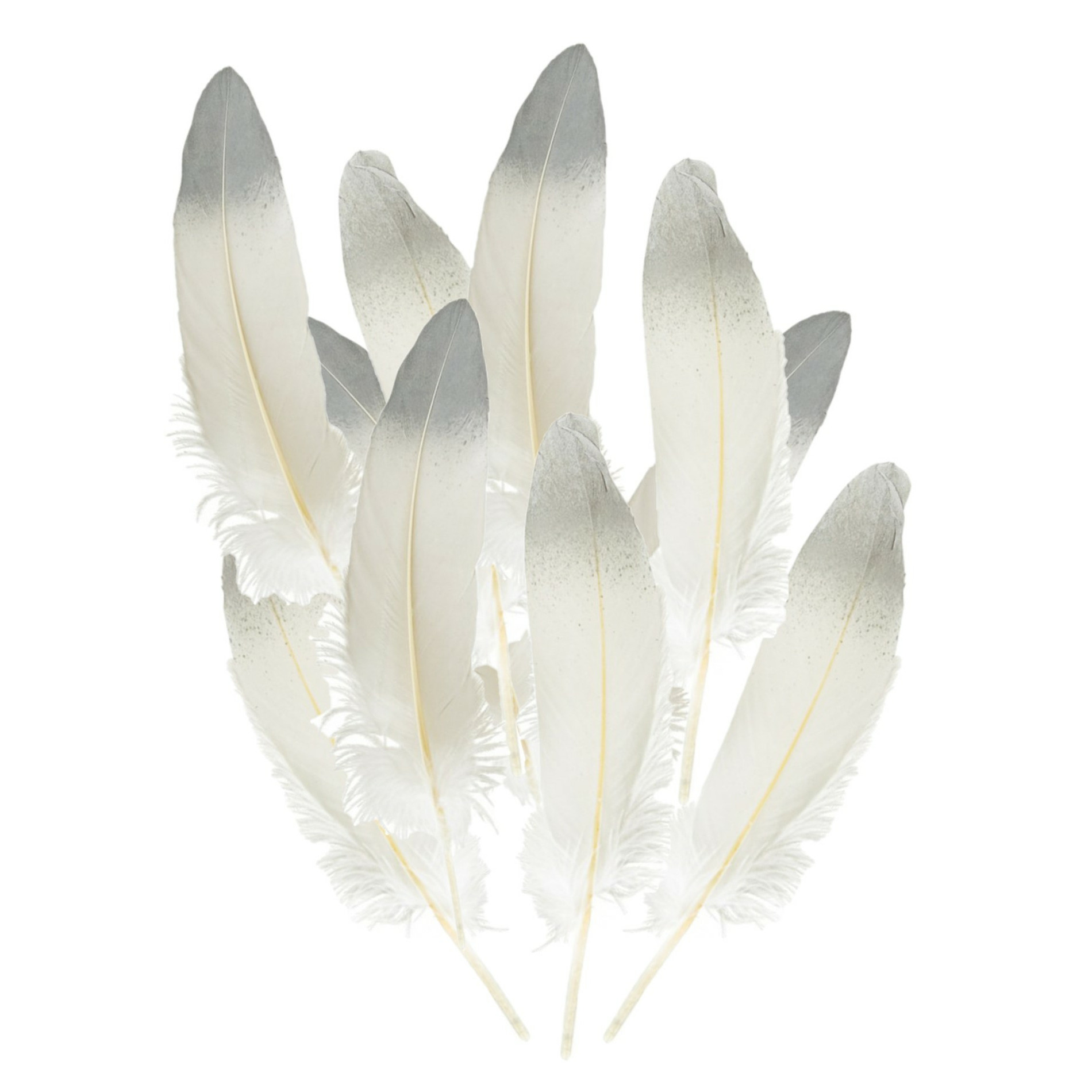 Ganzenveer/sierveer - 20x stuks - wit met zilver - 18-22 cm - decoratie/hobbymateriaal -