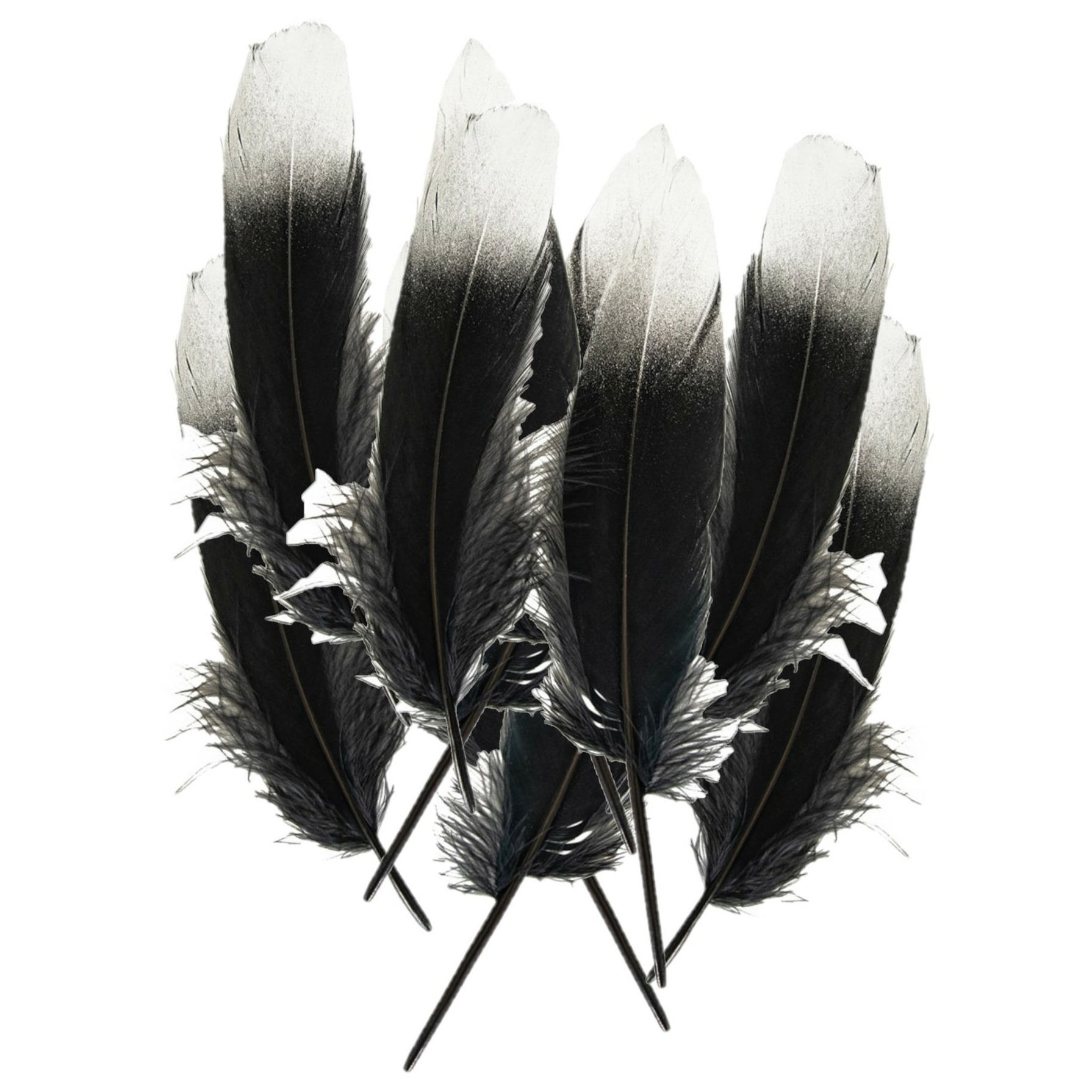 Ganzenveer/sierveer - 30x stuks - zwart met zilver - 18-22 cm - decoratie/hobbymateriaal -