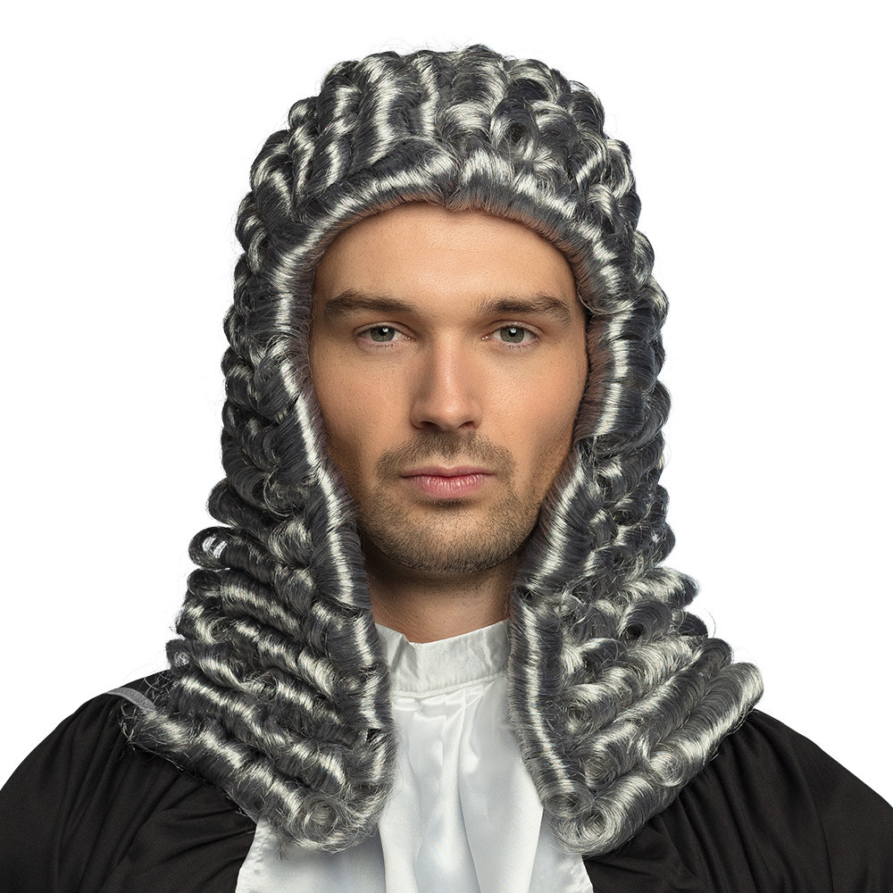 Verkleedpruik voor heren - grijs - Rechter/Middeleeuwen - Carnaval - lang haar met nepkrullen -