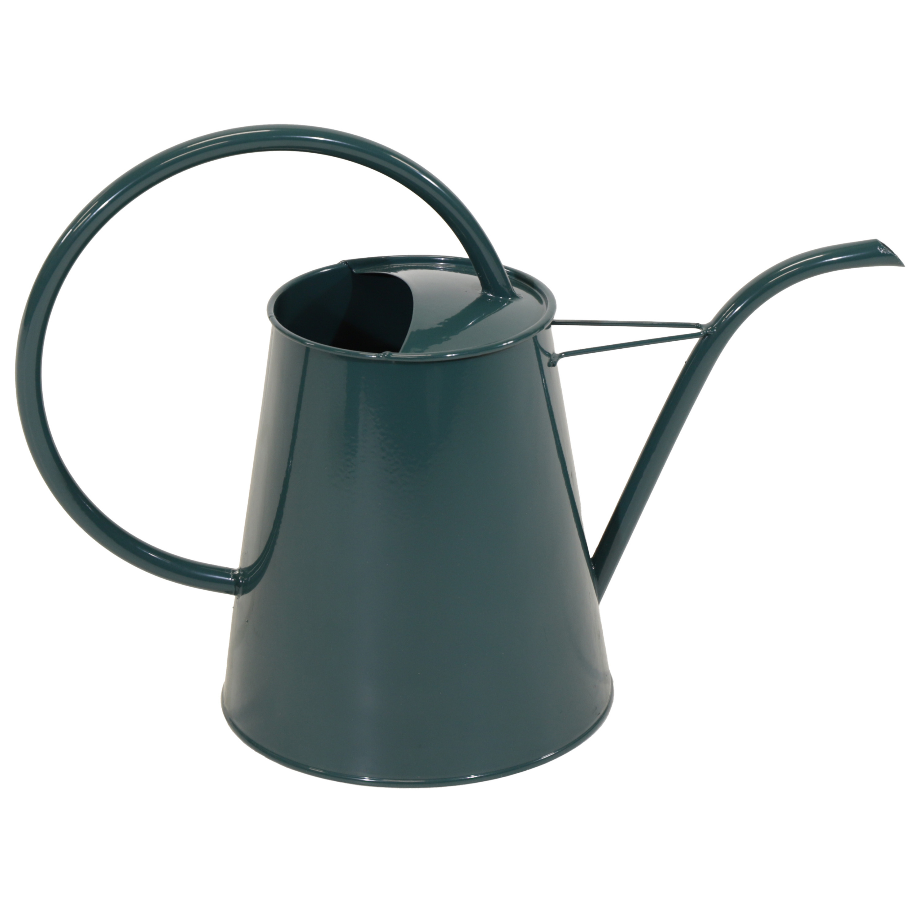 Gieter/plantengieter Olivera - metaal - donkergroen - 3 liter - met lange schenktuit -